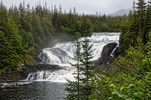 Baker’s Brook Falls cascading through forest in Gros Morne National Park, Newfoundland.